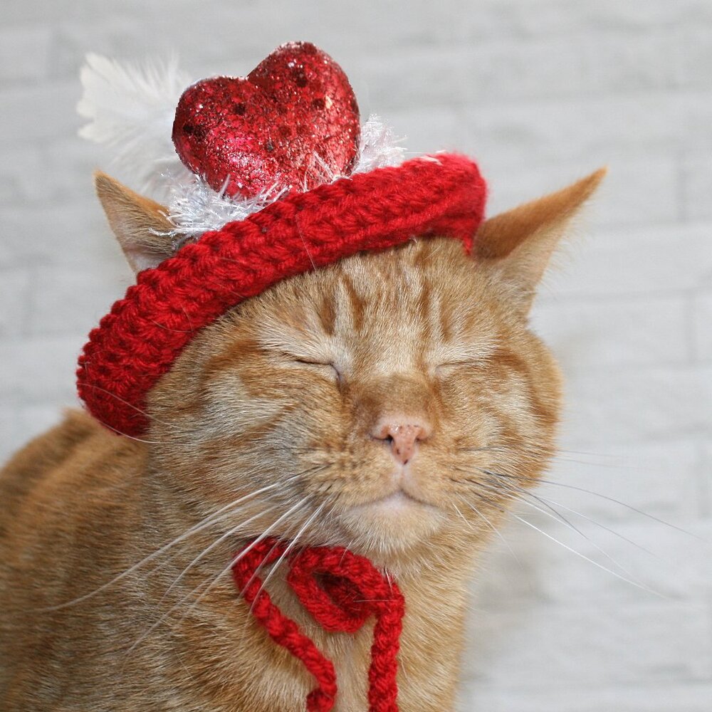 HAND CRAFTED Hat Crochet Valentine's Day Cat Dog Costume Photo Prop Red